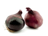 Artikel mit Uploadmöglichkeit