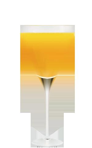 Elite Marguerita