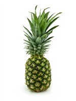 Standardprodukt